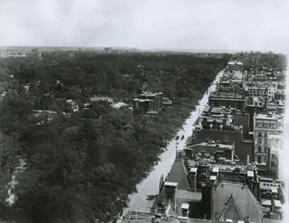 ニューヨーク市61番街のメトロポリタンクラブの屋上から北を見た5番街、1904年頃