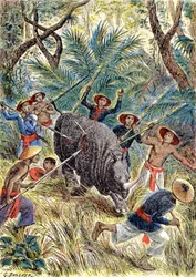サイ狩り、フランス領インドシナ、1900年頃（イラスト）