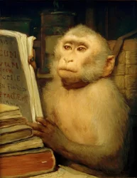 読書する猿