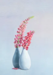 淡いピンクのルピナスの花瓶