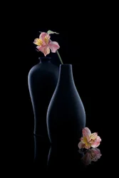 優雅なアルストロメリアの花瓶