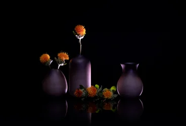オレンジ色の花の静物画