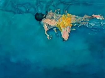 黄色の水泳選手、1990