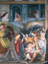 キリスト降誕」ガウデンツィオ・フェラーリ（1475-1546）のフレスコ画（イタリア、ヴェルチェッリの聖クリストフ教会