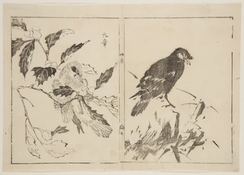 鳥や花を描いた作品2点（カラー木版画