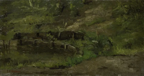 草原の風景