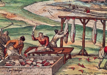 ゲオルグ・ブラウンとフランツ・ホーゲンベルグによる「Civitates Orbis Terrarum」のミニチュア、マグロの加工風景