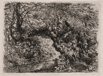 小川のほとりの古い柳」1794年