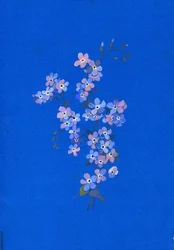 ワスレナグサ、1960年代（カラーカードにガッシュ）