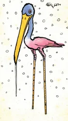 コウノトリ、校正済みシャンクス、1970年代（ガッシュより透明度の高いイニダンインク、カード上）