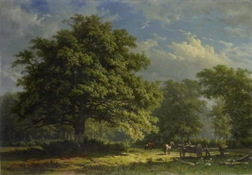 ベントハイムの森を見る