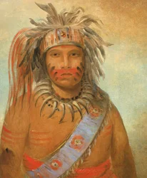 Au-nim-muck-kwa-um、テンペスト バード、1845 年。