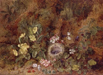 燕の巣と野の花のある静物画
