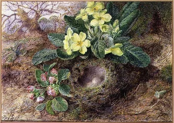 サクラソウと鳥の巣のある静物画（水彩、ガッシュ、紙）