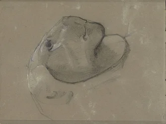 おそらく彫刻の後のライオンの頭