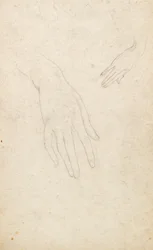 手の研究