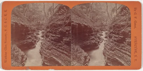 ワトキンズ・グレンの風景、シャドー峡谷、1860年頃