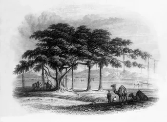 「ループプールのルンジート シン野営地、サトレジ川沿い」、1838 年。