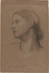 若い女性の頭