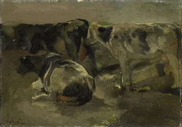 4頭の牛