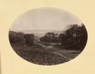ウィリアムズタウンの道路、c。 1870。
