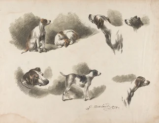 動物 - 1枚の紙に描かれた猟犬の7つの習作。左下の猟犬の首輪に「Jno. Harris」とある