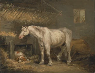 馬小屋で犬と一緒に古い馬