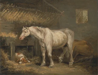 馬小屋で犬を連れた老馬