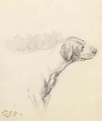 猟犬の研究、1794