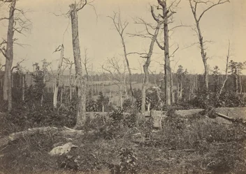 1864年3月3日、ジョージア州レサカの戦場（写真）