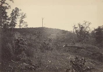 パイン マウンテン、1860 年代。