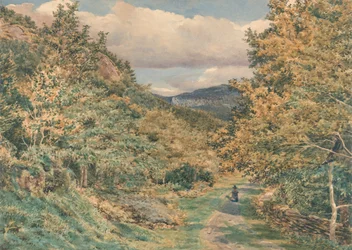 Bettws-y-Coedの近くの道