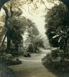 クイーンズパーク、オーストラリア、ブリスベン、c1909の経路。