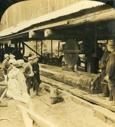 木材産業、ウォーバートン、ビクトリア、オーストラリア、1909年。