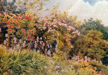 バラとアイリス（カラーリトグラフ）