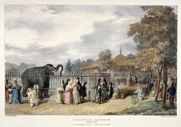 動物園、リージェンツ パーク、ロンドン、1835 年。