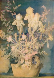 ジョージ・シェリンガムによる花の絵、c1910-1920、1936。