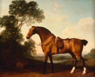 G.Stubbs、サドルベイハンター