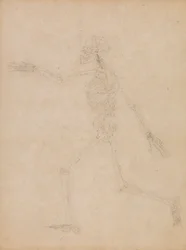 Human Skeleton, Lateral View   1434754   ja       japanese Successfully Translated  Original: Evening Banquet In The Peach And Plum Garden (ink, colour, gold on silk) Translat: Evening Banquet In The Peach And Plum Garden (ink, colour, gold on silk) 144942