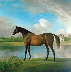 ボリングブローク卿の繁殖牝馬（ウィルトシャー、リディアード・パークの敷地内）1764-66年頃（油彩・キャンバス