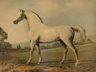 マンブリノ。グロブナー卿、c1770s、c1879によって育ちました。
