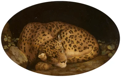 眠るヒョウ