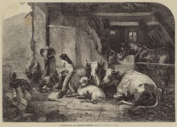 カーナーボンシャーのホームストール