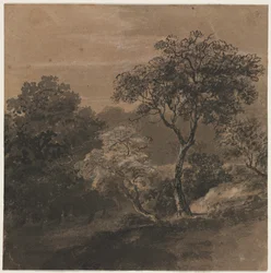 風景