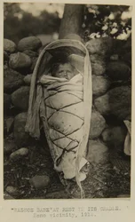 ゆりかごに眠る "Washoe Babe"。リノ近郊