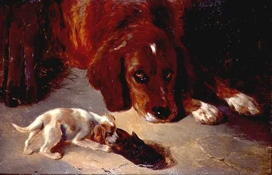 好奇心旺盛な子犬（ボード