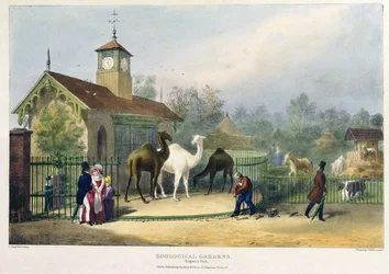 動物園のキャメルハウス、リージェンツパーク、彫刻、パブ。チャールズハルマンデル（1789〜1850年）、1835年作家