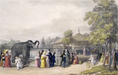 動物園のエレファントハウス、リージェンツパーク、彫刻、パブ。チャールズハルマンデル（1789〜1850年）、1835年作家
