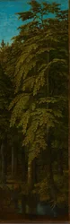 森の眺め 1505-1515年頃 油彩・パネル
