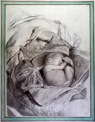 子宮の中にいる人間の胎児を表現したもの Govert Bidloo (or Govard) (1649-1713)の「Anatomia Humani Corporis」を図解したGerard de Lairesse (1640-1711)のエングレーヴィング 18世紀 パリの医学部付属図書館蔵